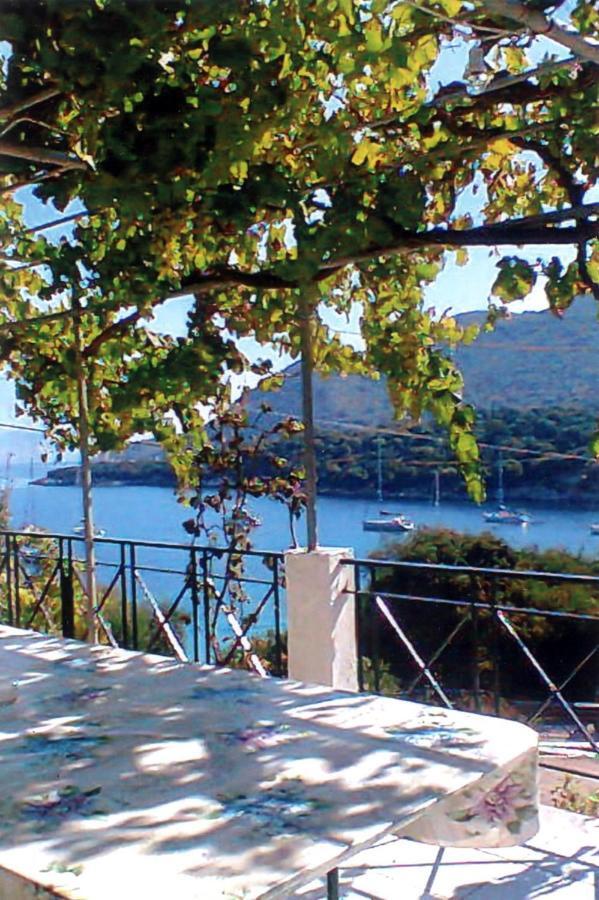 Apartament Errieta *